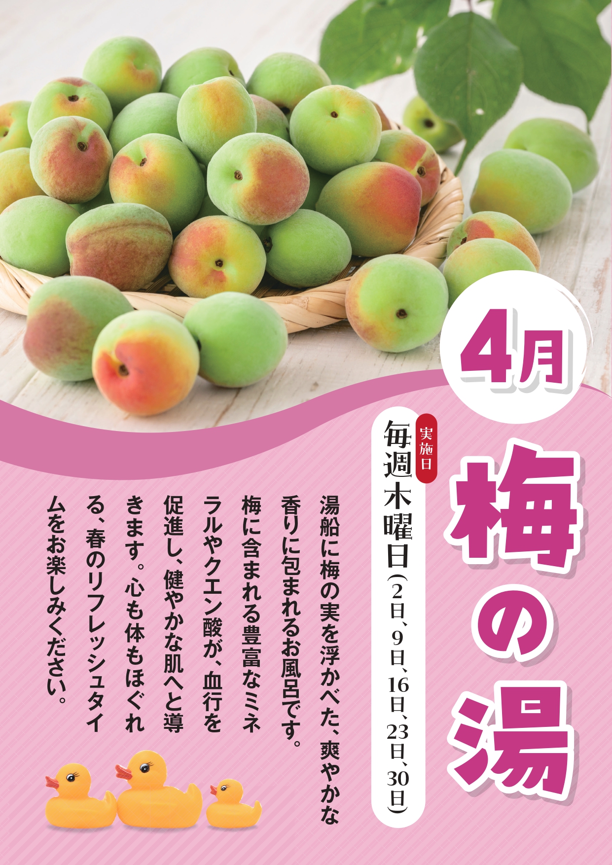 毎週木曜日は季節の湯を開催！　～4月は「うめの湯」～