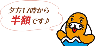 夕方17時から半額です♪